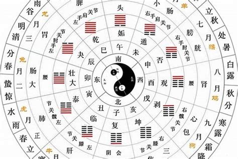 日干五行|十天干十二地支对应五行 十天干十二地支五行阴阳属性